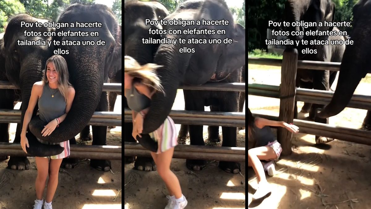Mladá Španělka pózovala v Thajsku se slony. Ti ji svými choboty srazili k zemi